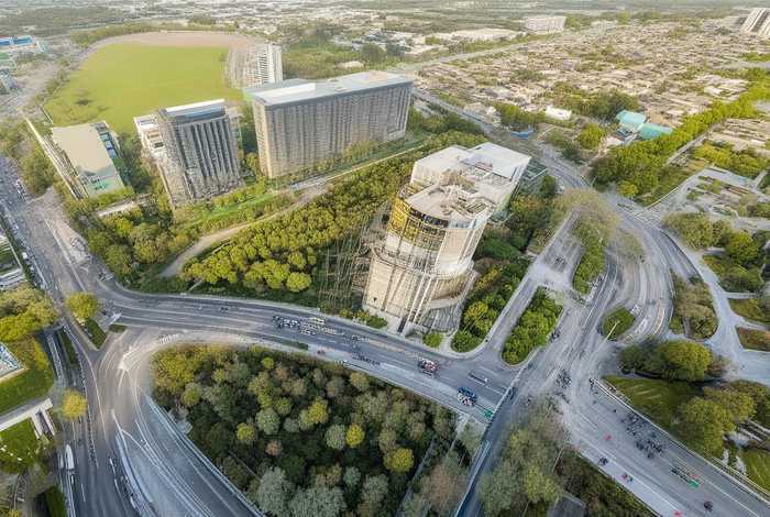 梅花鹿生活习性和特点三百字（梅花鹿的外形特点和生活特征）