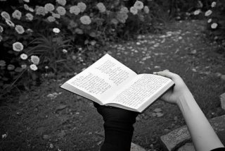 假如生活欺骗了你感悟30字，假如生活欺骗了你感悟30字怎么写