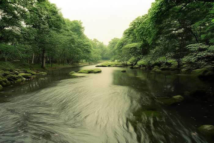 拉萨生活真实感受（拉萨生活真实感受作文）