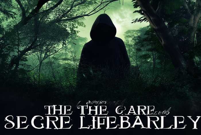 大麦的隐秘生活主演;大麦的隐秘生活主演是谁 大麦的隐秘生活主演;大麦的隐秘生活主演是谁