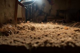 螨虫生长环境 螨虫生长环境是什么