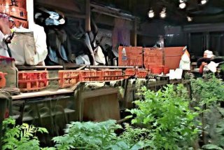 多彩大学生活课程 - 多彩大学生活课程心得体会