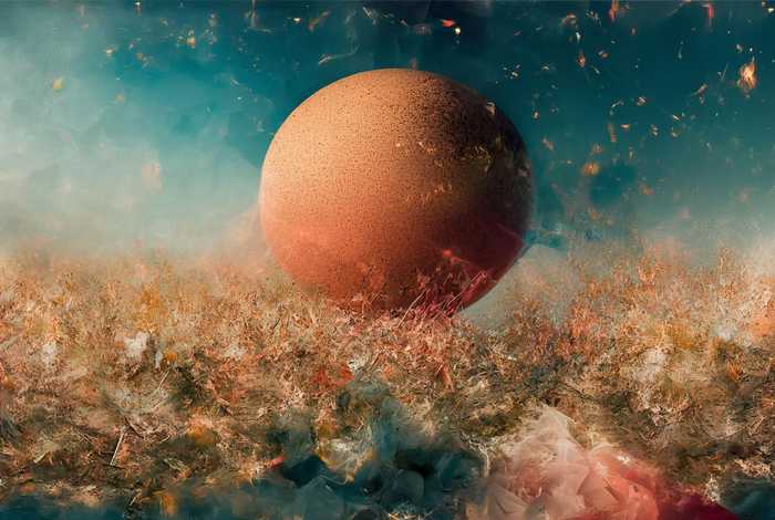 靳东江珊生活照、靳东江珊生活照片