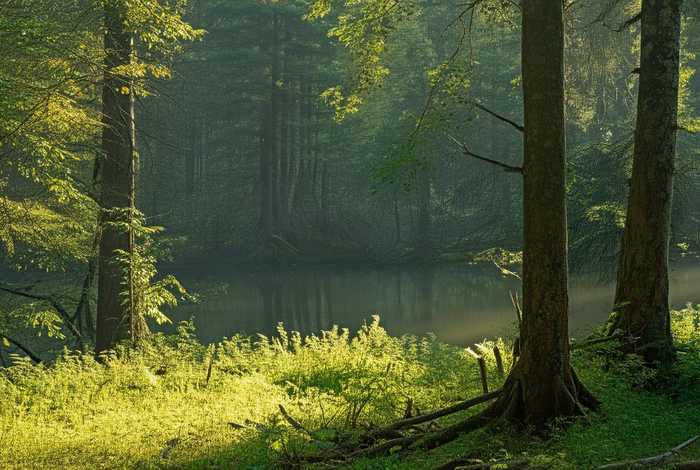 道士生活视频、道士生活视频素材