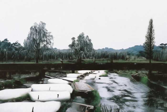 北极熊的生活习性不超过50字（北极熊的生活特点）