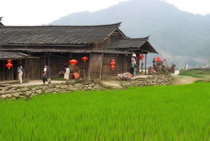 灵山生活记录视频(广西灵山生活网) 灵山生活记录视频(广西灵山生活网)