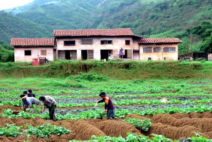 郴州农村生活；郴州农村生活补贴政策