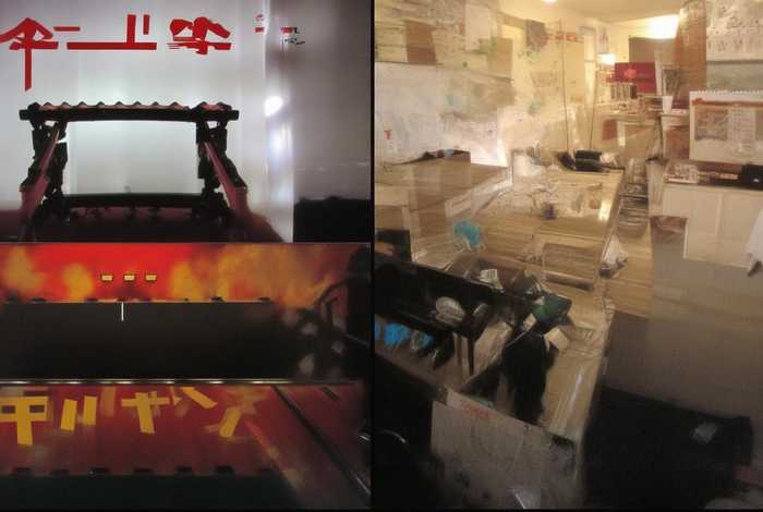 鲫鱼的生活方式与生活环境 - 鲫鱼的生活方式与生活环境的关系