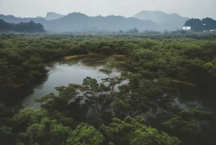端午节的生活经验，端午节的生活经验怎么写