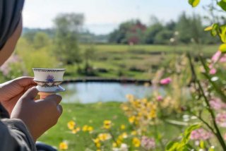 慢生活人生道理、慢生活人生道理怎么写