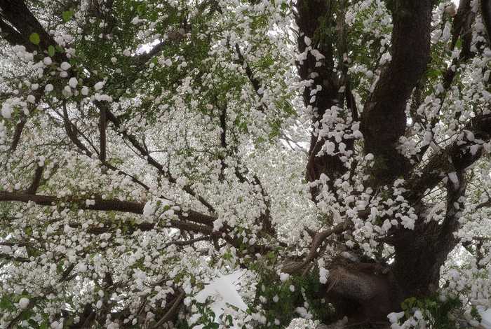 淡然的句子心境200字短句(淡然的句子心境200字短句摘抄) 淡然的句子心境200字短句(淡然的句子心境200字短句摘抄)