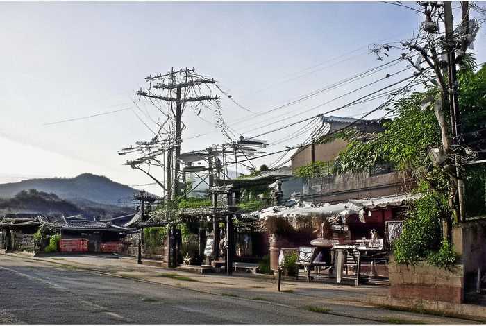 猎豹的生活习性20字 - 猎豹生活在哪里 他们的专长是什么