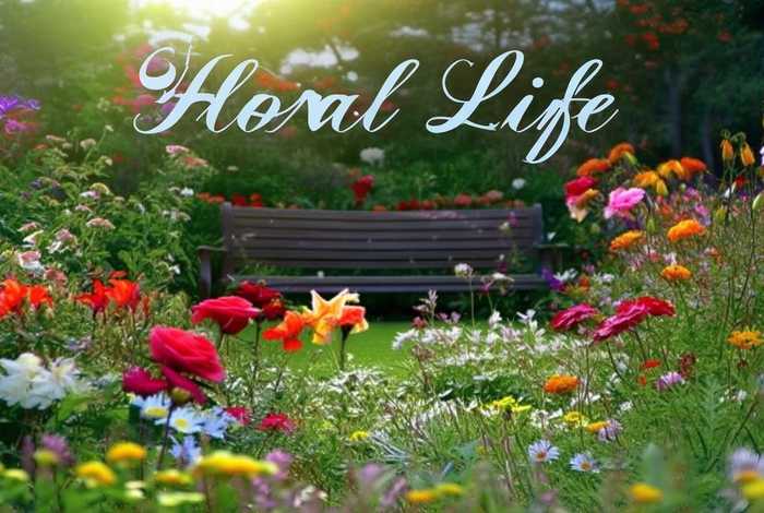 花草生活视频；花草生活视频下载