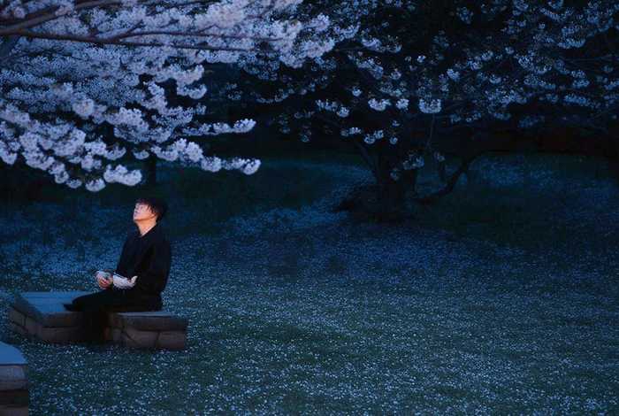 淡然的网名 形容心境淡然的网名 淡然的网名 形容心境淡然的网名