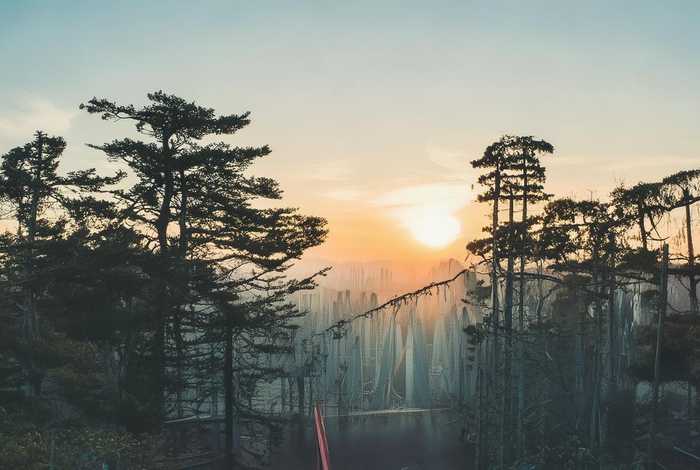 科技改变生活十个例子，科技改变生活十个例子50字