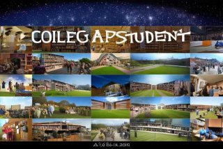 大学生活的得失与感悟；大学生活的得失与感悟怎么写