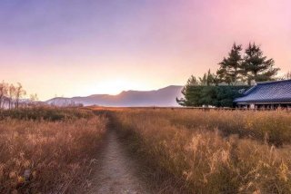 杜甫的生活经历50字（杜甫的生活经历50字左右）