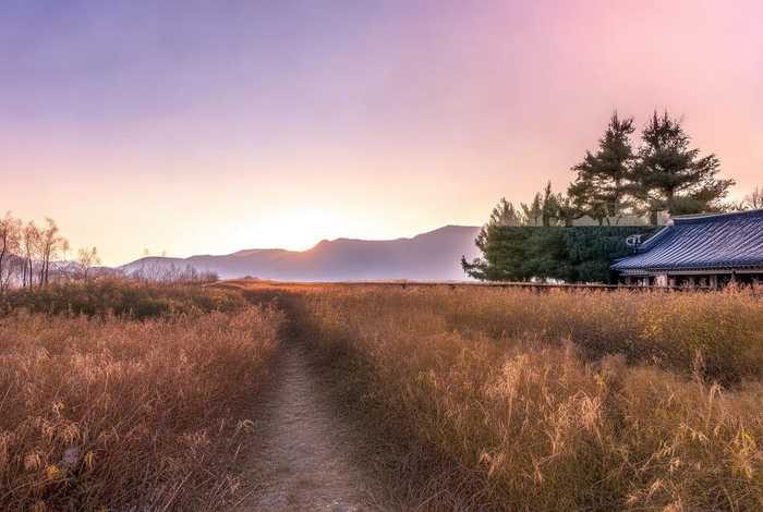 杜甫的生活经历50字（杜甫的生活经历50字左右）