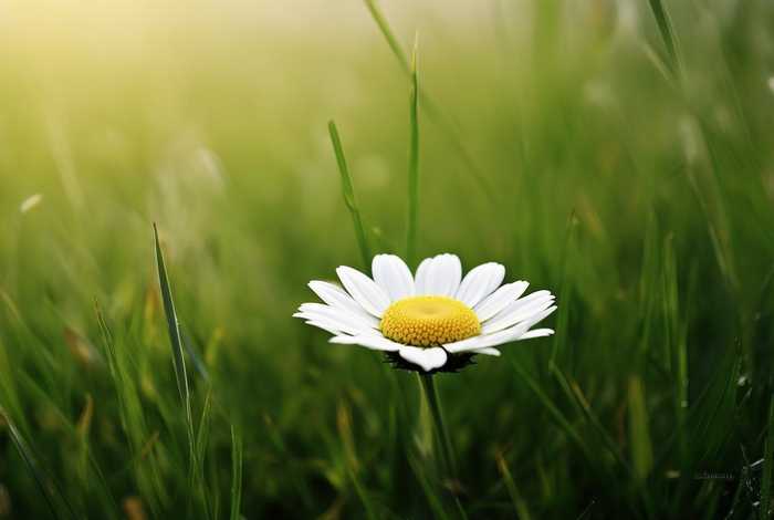 0在生活中代表着不同的意义 说一说0在生活中表现的意义