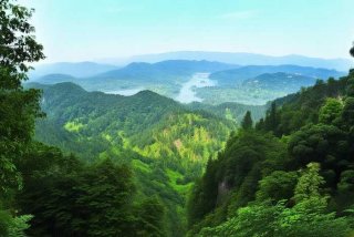 崂山生态环境分局龙兴最新消息；崂山生态环境分局龙兴最新消息公示