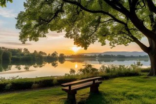 大摩品质生活 000309 基金净值、大摩品质生活000309基金净值