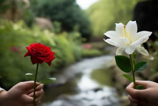 婚姻生活和情感生活、婚姻生活和情感生活的区别