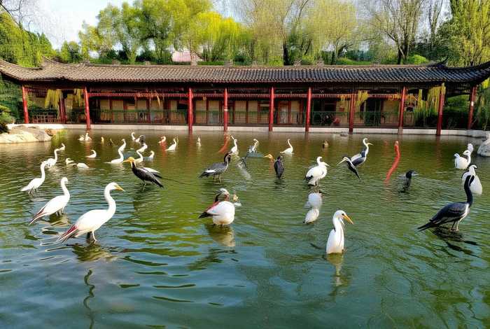 河南水鸟生活馆（河南水鸟生活馆地址）