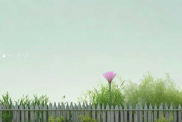 简单生活简短精美句子、简单生活简短精美句子图片