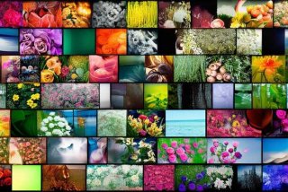 彩色配图，彩色配图大全100张