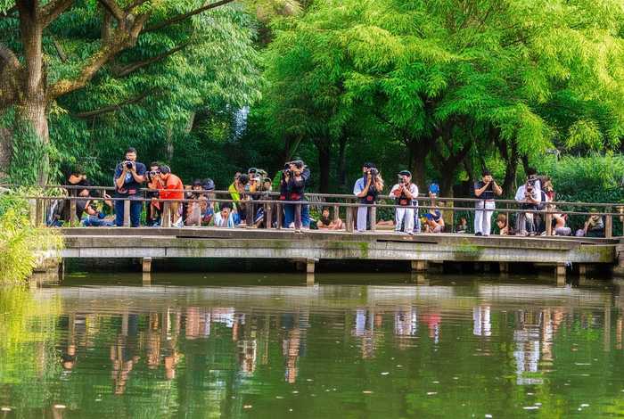 成都摄影公园介绍，成都摄影公园介绍资料