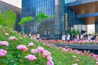 成都潮生活东安湖木棉花（成都东安湖木棉花酒店什么时候开业）