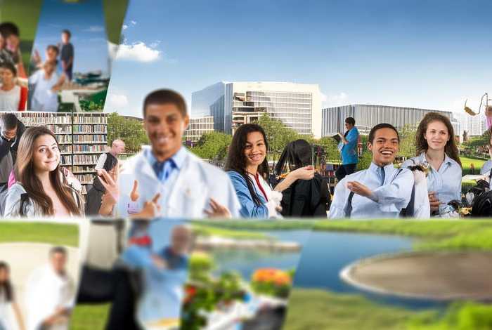 对大学生活的展望作文，对大学生活的展望作文素材