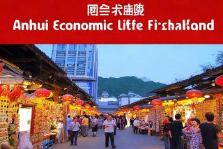 安徽经济生活第一时间红版2011年搜库、安徽经济生活第一时间在线回放