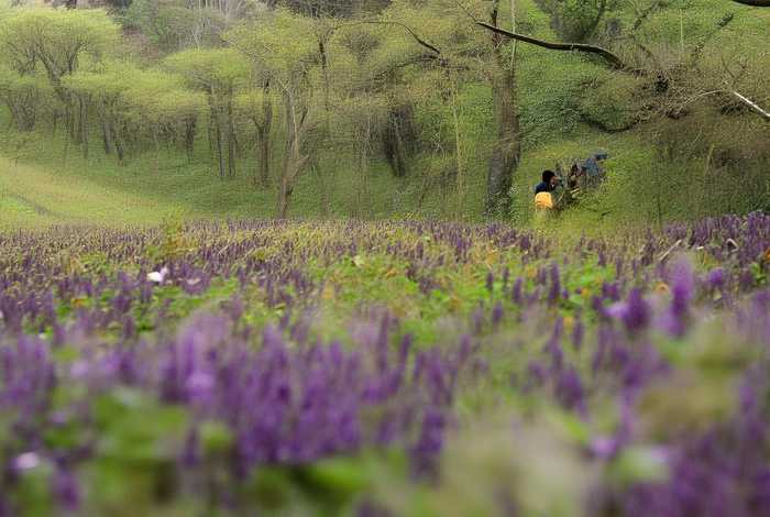 货车司机辛苦经典句子 一句表达货车司机辛苦的句子