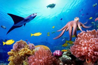 介绍海底动物的生活方式 - 介绍海底动物的生活方式作文