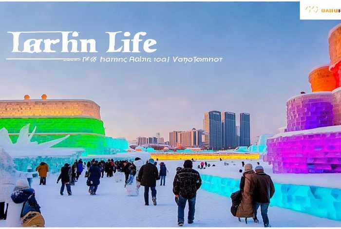 哈尔滨生活报电子版在线阅读 - 哈尔滨生活报电子报