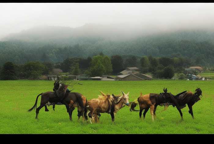 留守妇女的生活变得丰富多彩，留守妇女的生活变得丰富多彩英语翻译