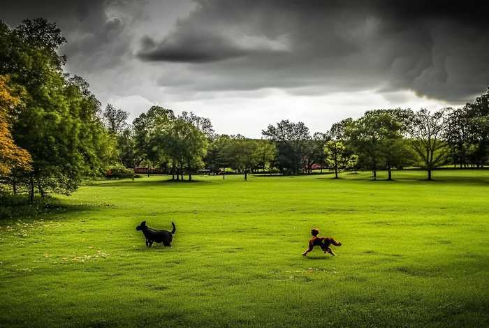 高兴生气害怕难过写一句话(高兴生气害怕难过写一句话简单) 高兴生气害怕难过写一句话(高兴生气害怕难过写一句话简单)