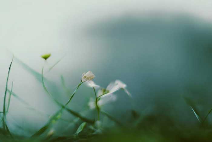 拉萨生活用电一度电多少钱 拉萨生活用电一度电多少钱啊