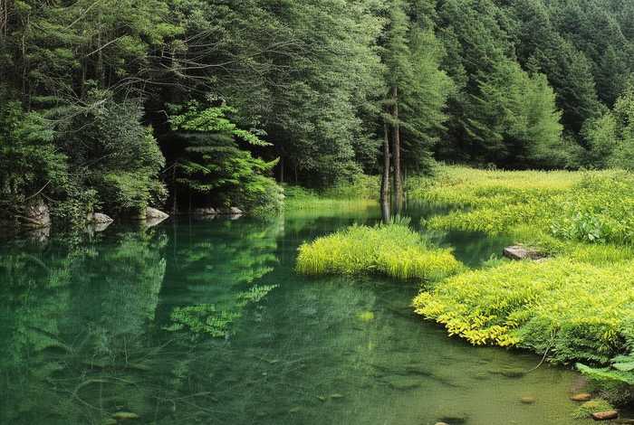 道士生活照片（道士生活照片真实）