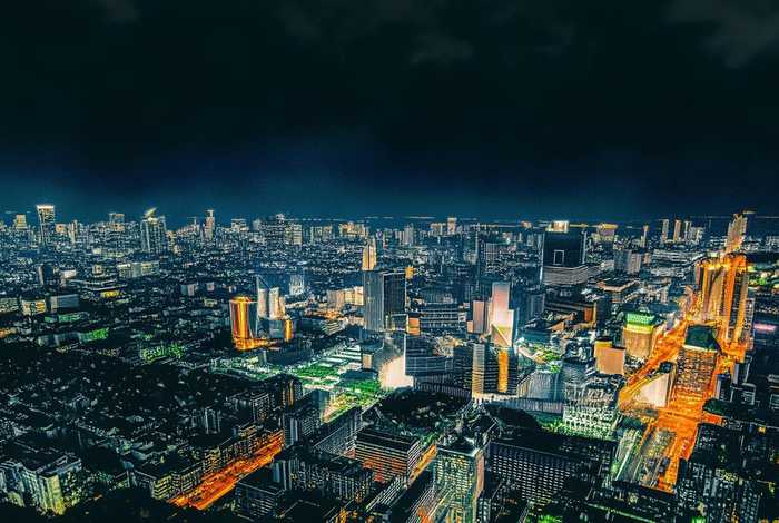 花草生活感悟 通过花草感悟生活