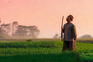 布谷声声劝早耕，布谷声声劝早耕 长安富人