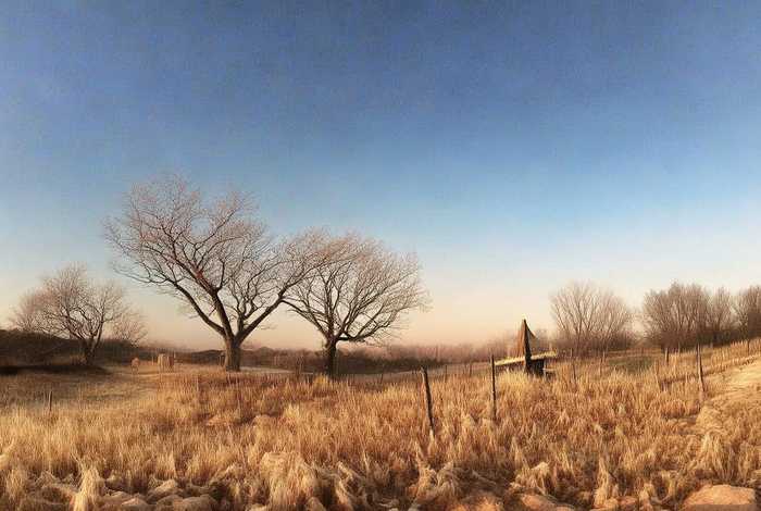科技给生活带来的便利作文500字 科技给生活带来的便利作文500字开头