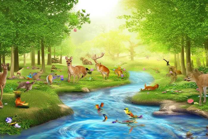 动物生活的环境有哪些、动物生活的环境有哪些变化