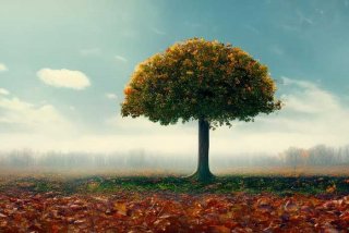 hpv感染能自愈吗是真的吗（hpv感染能自愈吗是真的吗会传染吗）