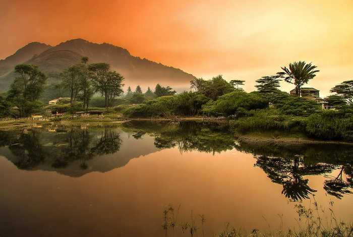 旧鞋子的新生活作文范文 旧鞋子的新生活作文怎么写