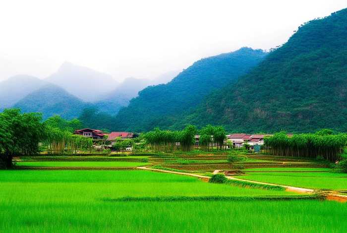 灵山生活网 - 广西灵山生活网 灵山生活网 - 广西灵山生活网