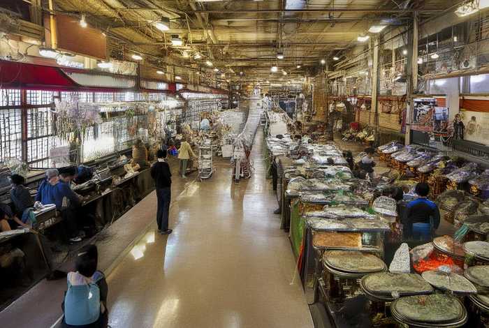 梅花鹿生活习性和特点三百字（梅花鹿的外形特点和生活特征）