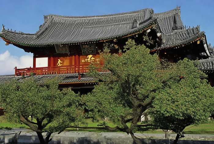 调查生活垃圾作文400字，生活垃圾调查报告800字