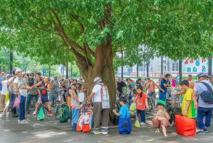 低碳生活人人有责主题活动 - 低碳生活人人有责主题班会开场白